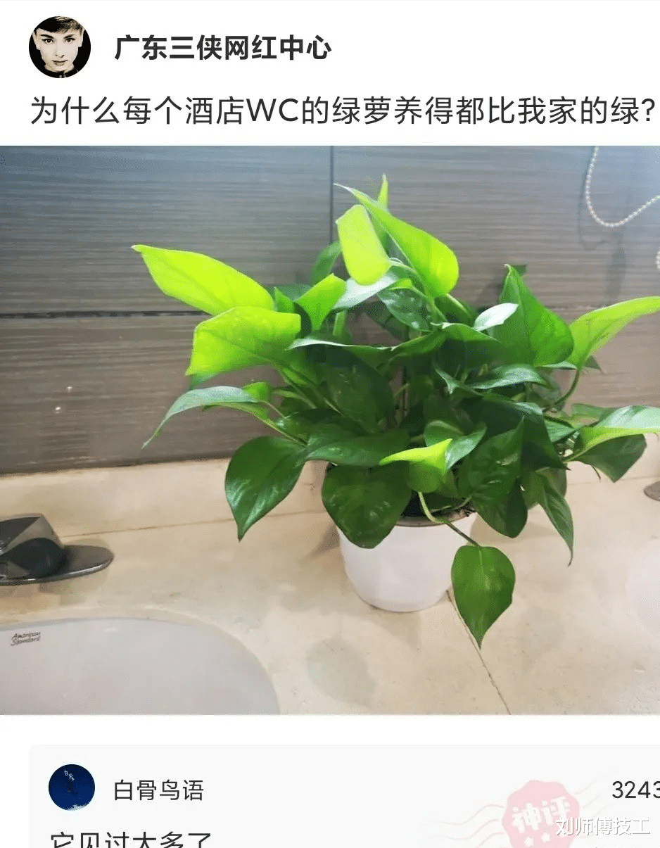 |公司新来了个女同事,每天都到办公室请教问题,我真支撑不住了