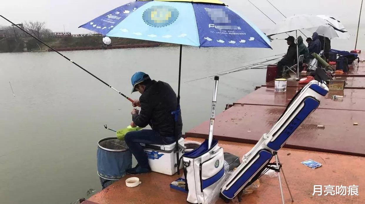 |长时间不钓鱼的“5个危害”，说出了很多钓鱼人不敢说的话