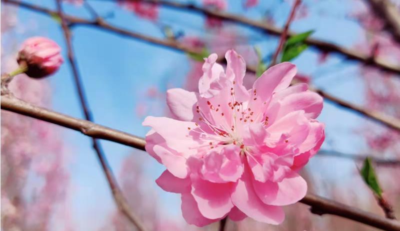 |酒局上,什么样的人是“明白人”?