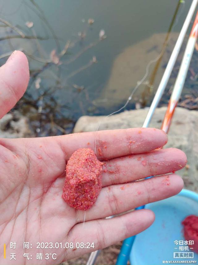 饵料|寒风瑟瑟，钓鲫暖心！