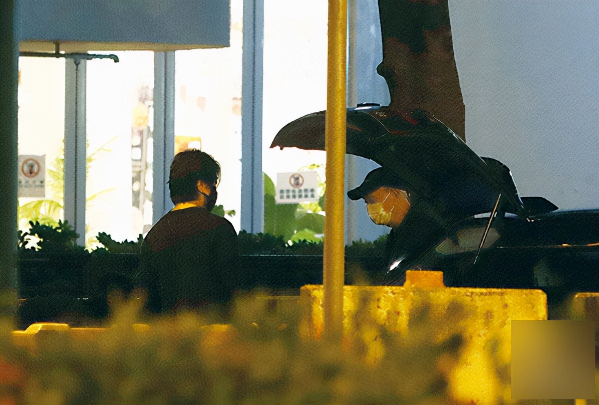 张艺谋|54岁郑伊健推轮椅陪父母散步,蒙嘉慧未现身安排女工人帮手