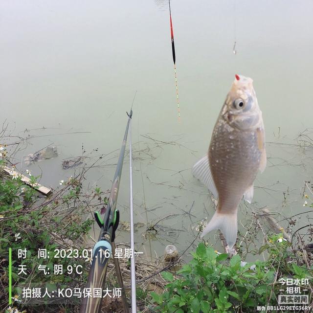 |迈着沉重的步伐，也要将钓鱼进行到底！