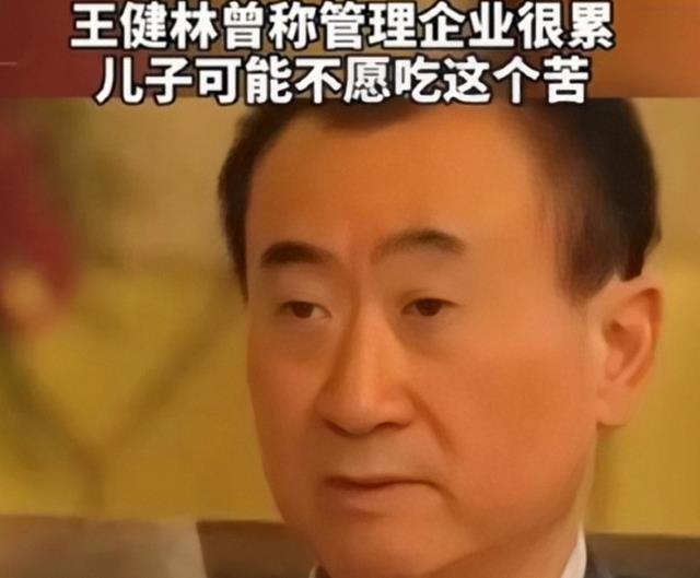 王思聪|王思聪坐轮椅游玩,68岁老爸王健林考察体型消瘦,3年亏损近120亿