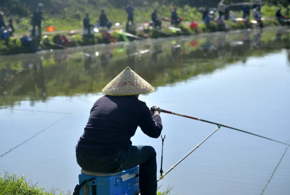饵料|广东钓友野河钓到怪鱼, 酷似罗非没敢吃, 网友: 浪费\花老虎\的美味
