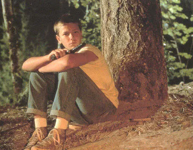 豆瓣|豆瓣评分8.9,这才是童年