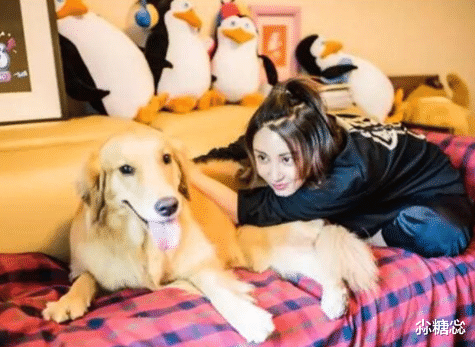 参观袁弘和张歆艺住的豪宅,卧室凌乱邋遢,平时几乎不收拾