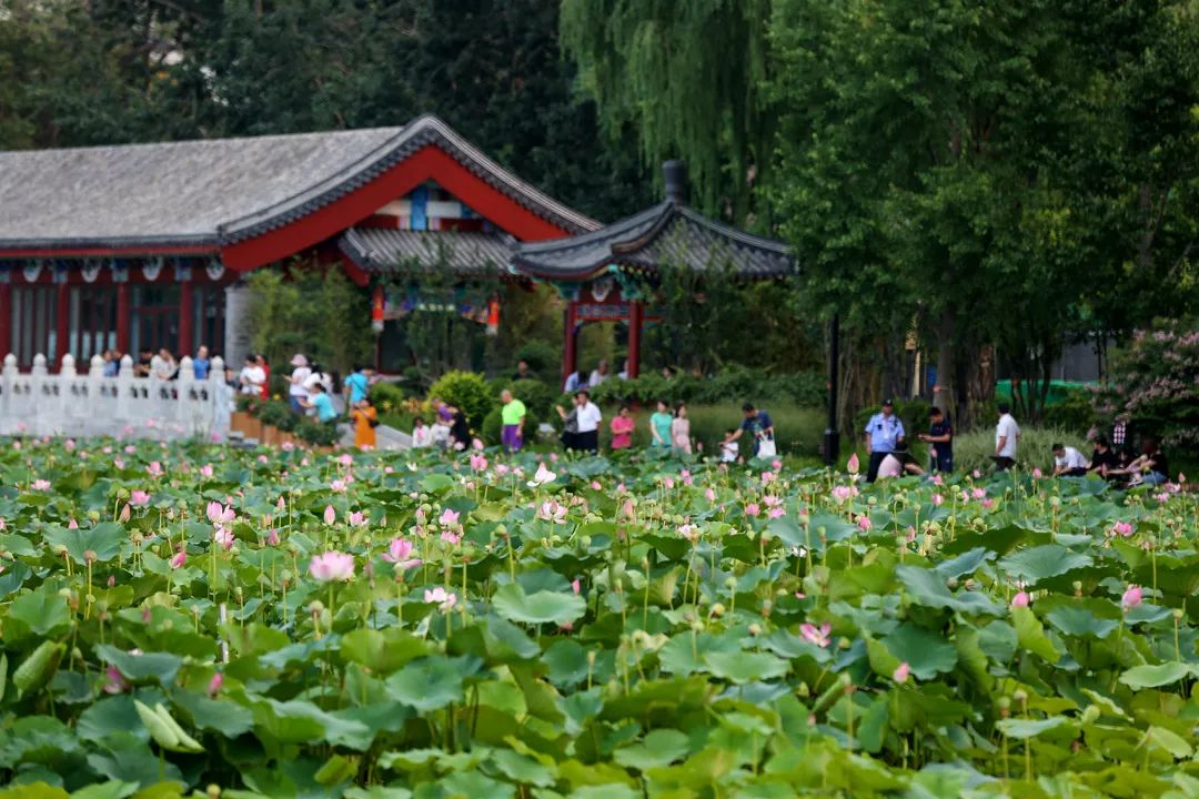 北京市|北京最值得六岁小朋友去的公园，有哪些好的推荐吗？