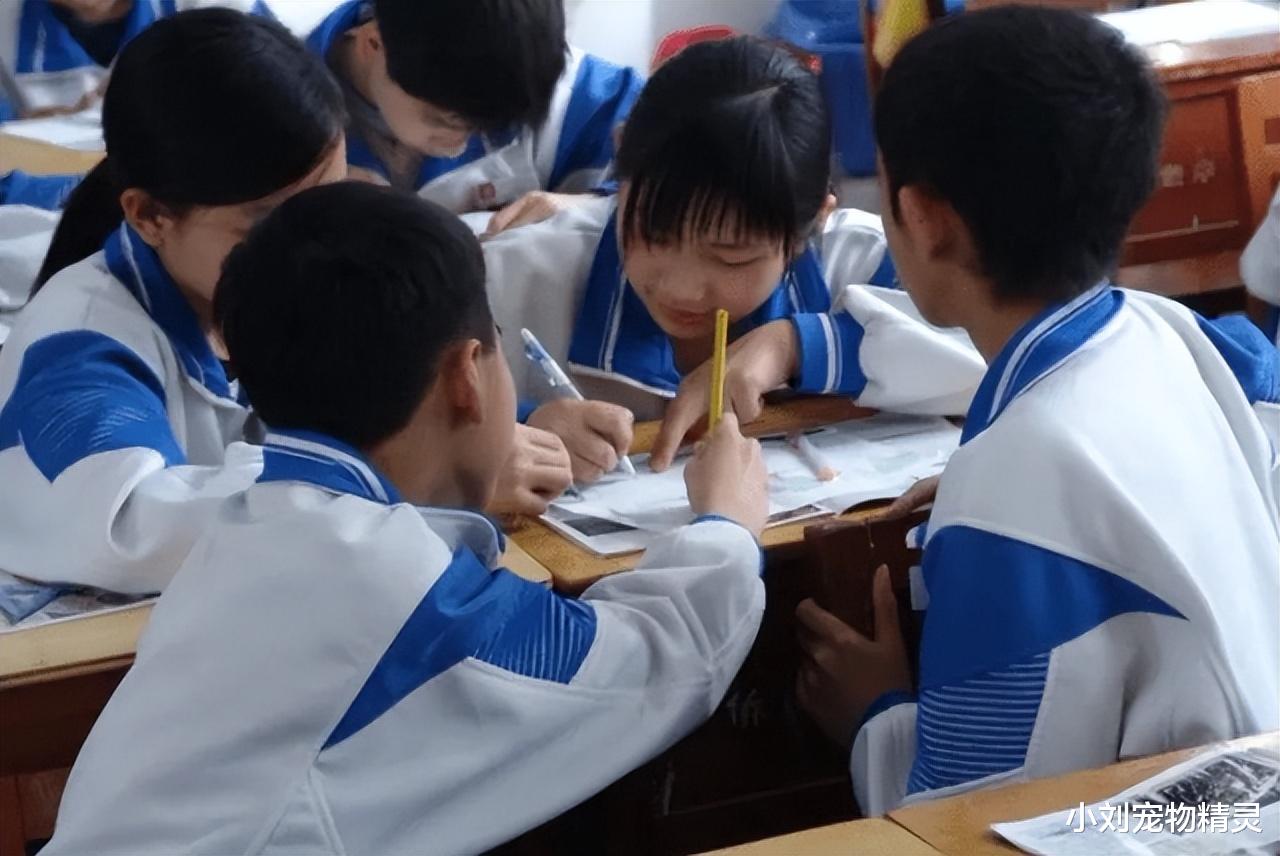 “胡鑫宇失踪事件”后续，致远中学“黑历史”被扒！