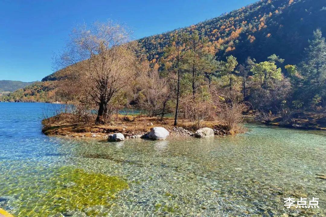 湿地公园|期待了一年半的云南旅行，我有5点夸奖1个遗憾