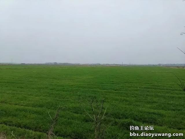 |鱼情有点小暴躁