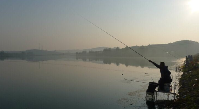 鲤鱼|春季钓鲤鱼，注重饵料的搭配使用，上鱼快鱼获多