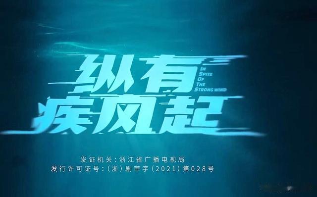 小姨子|纵有疾风起首播:连追6集!趣味十足,耐追性强!职场暗战风云起