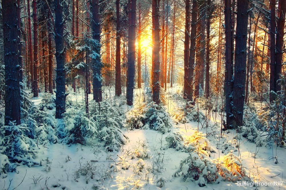 雪景怎么拍，6个使用技巧助你拍出好看的雪景照片