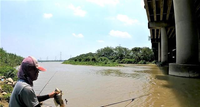|初夏钓鱼水温、溶氧很重要,这几个“黄金钓位”不可忽视