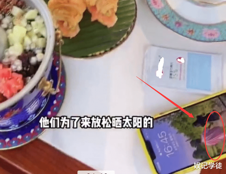 王思聪|王思聪带女友逛动物园，化身摄影师给其拍照，女方好身材一览无余