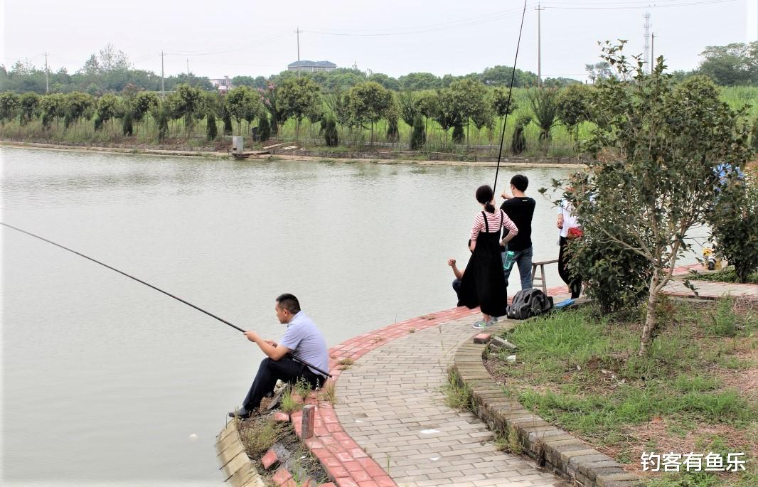 |为什么“铧尖”好钓鱼？难道“铧尖”真的是“鱼道”？