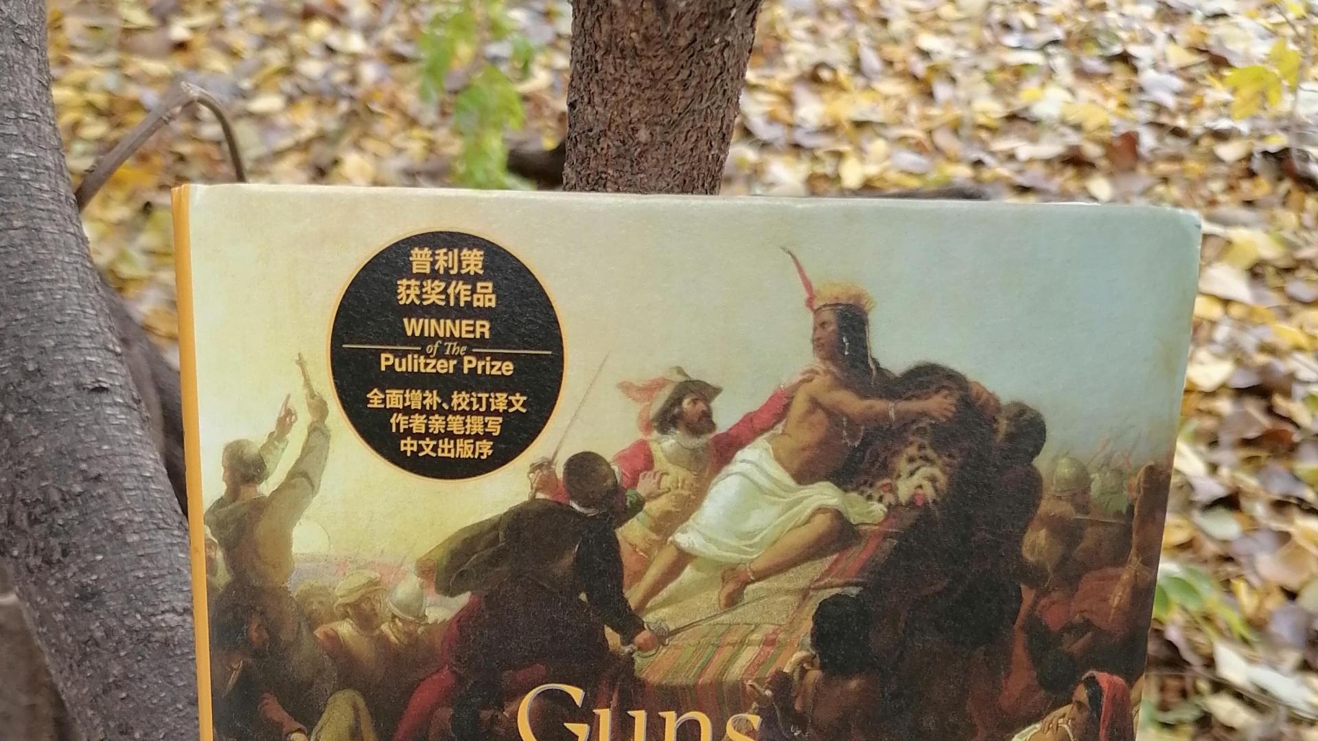 带你探寻人类历史的普遍模式