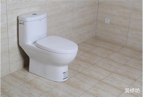 卫生间有异味、小飞虫,多半是这6个原因,早知道早受益