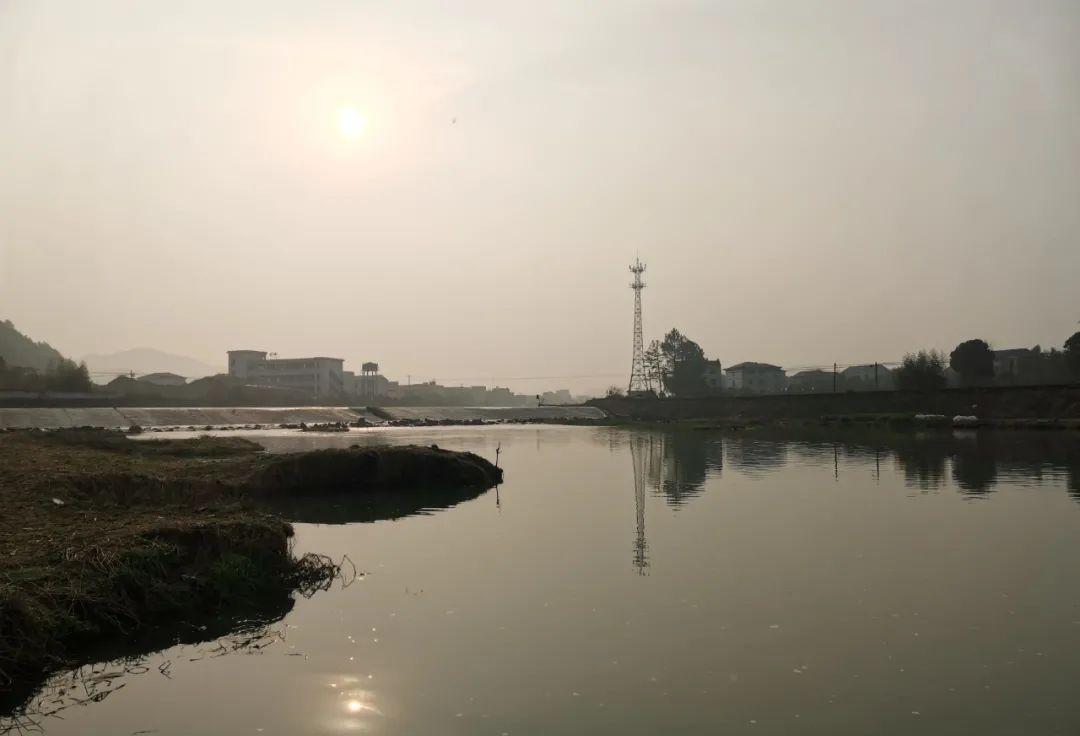 国语|你知道冬钓鲫鱼的最佳时间段吗?这几条信息很重要,干货分享!