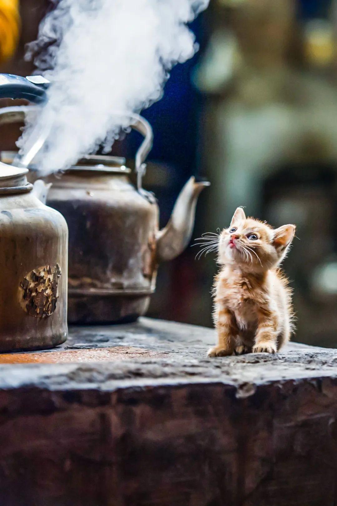 霍乱|疫情之下,中国人的命,都是开水给的!