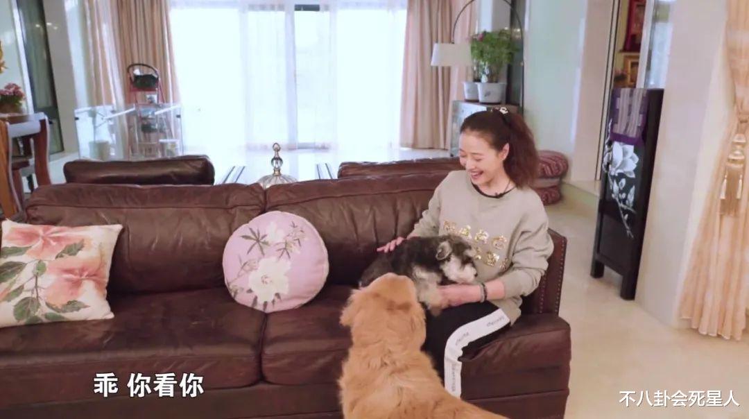 TVB|TVB最聪明的5位艺人,20年前就来内地拍戏,还赚得盆满钵满