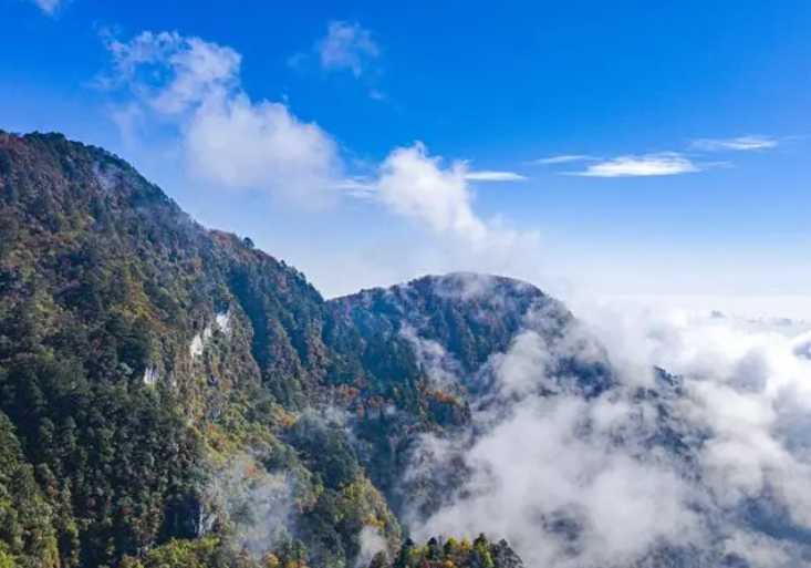 峨眉山|“猴子都饿瘦了!”峨眉山半年亏损超5800万,全国多地景区花式自救