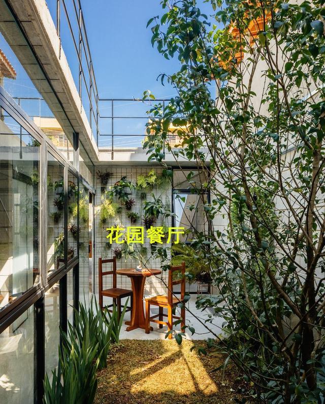 拆掉厨房实墙换玻璃墙，要是不算违建，我也愿意多个“阳光房”