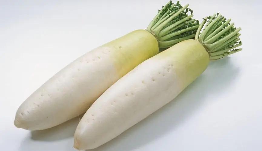 脾胃|保存白萝卜有诀窍，教你1招，不放冰箱不土埋，一个冬天还新鲜