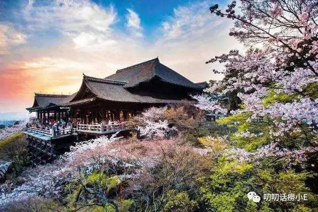 云南|到日本去玩不去都后悔的地方