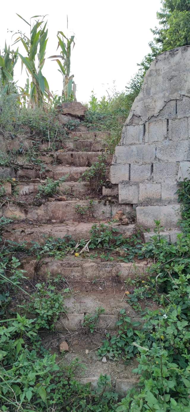 昭通|重走来时的路！云南昭通乐居镇周家口子村散步记