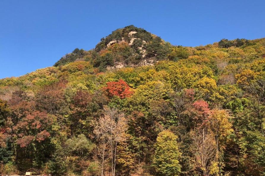 抚顺|辽宁一“黑马”公园，耗资5亿有望升级5A，人称抚顺“张家界”