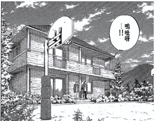 灌篮高手|《灌篮高手》角色家境大排行,樱木不穷,流川不富,安西真土豪