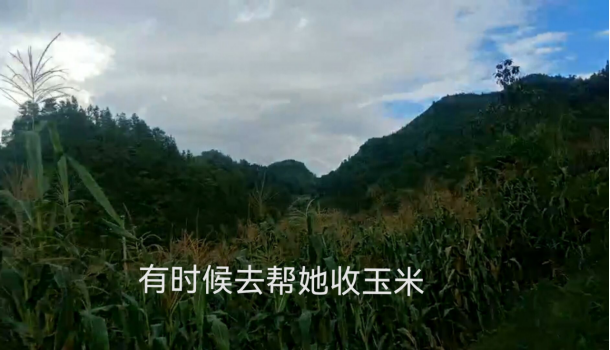 广西:妻子私会邻居长达2年,暴露后直言:谁叫你半年不回来一次