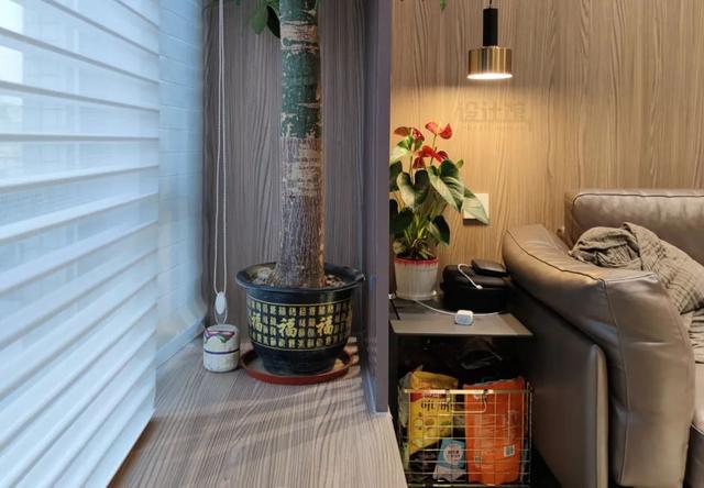 飘窗窗台用什么材质好?