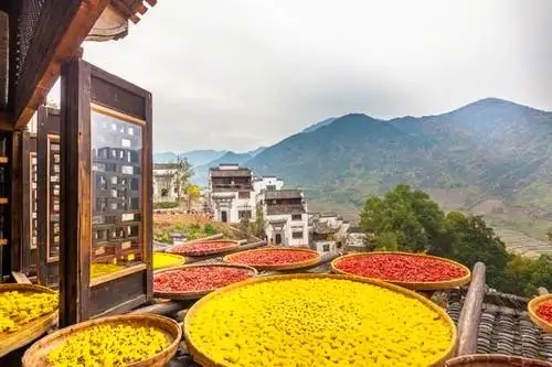 |【赏秋-婺源】