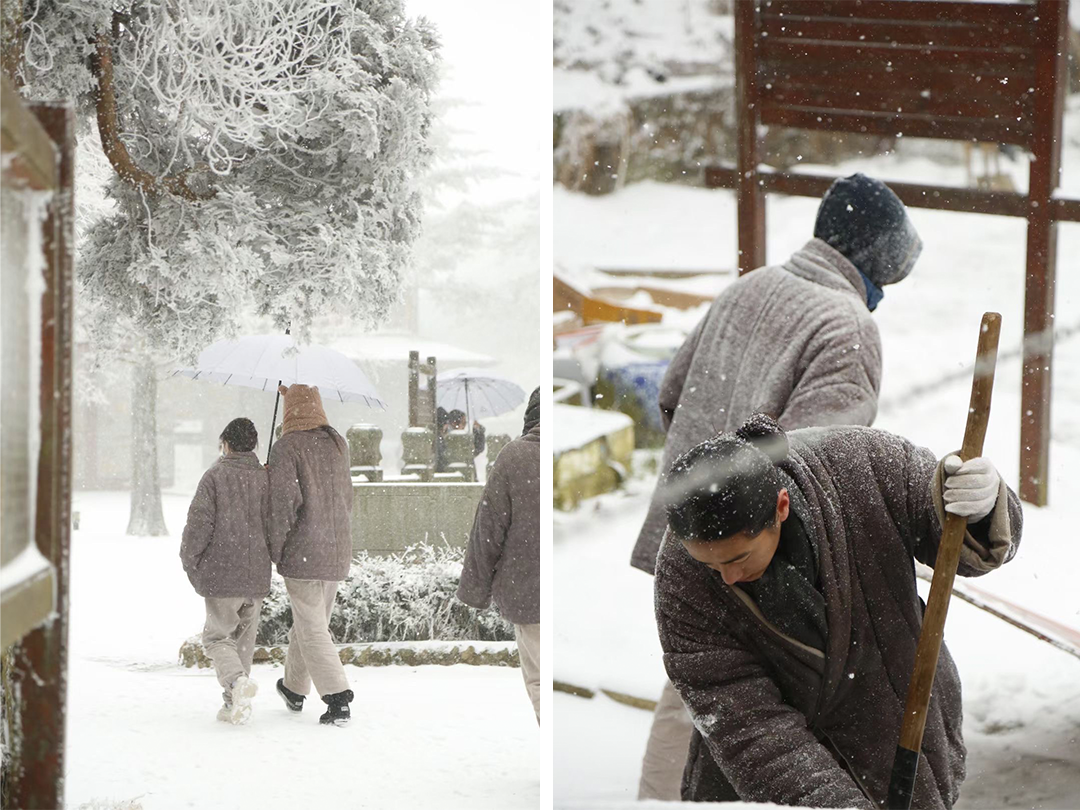 师父|95后组团去寺庙小住:疗愈失恋、焦虑和倦怠