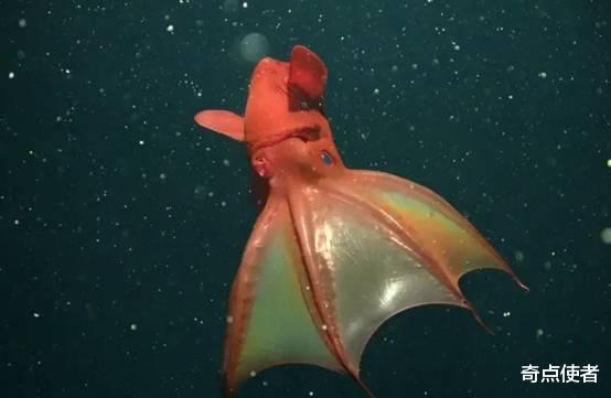 美国深海发现神秘生物,通体青铜金属色,是变异物种吗?