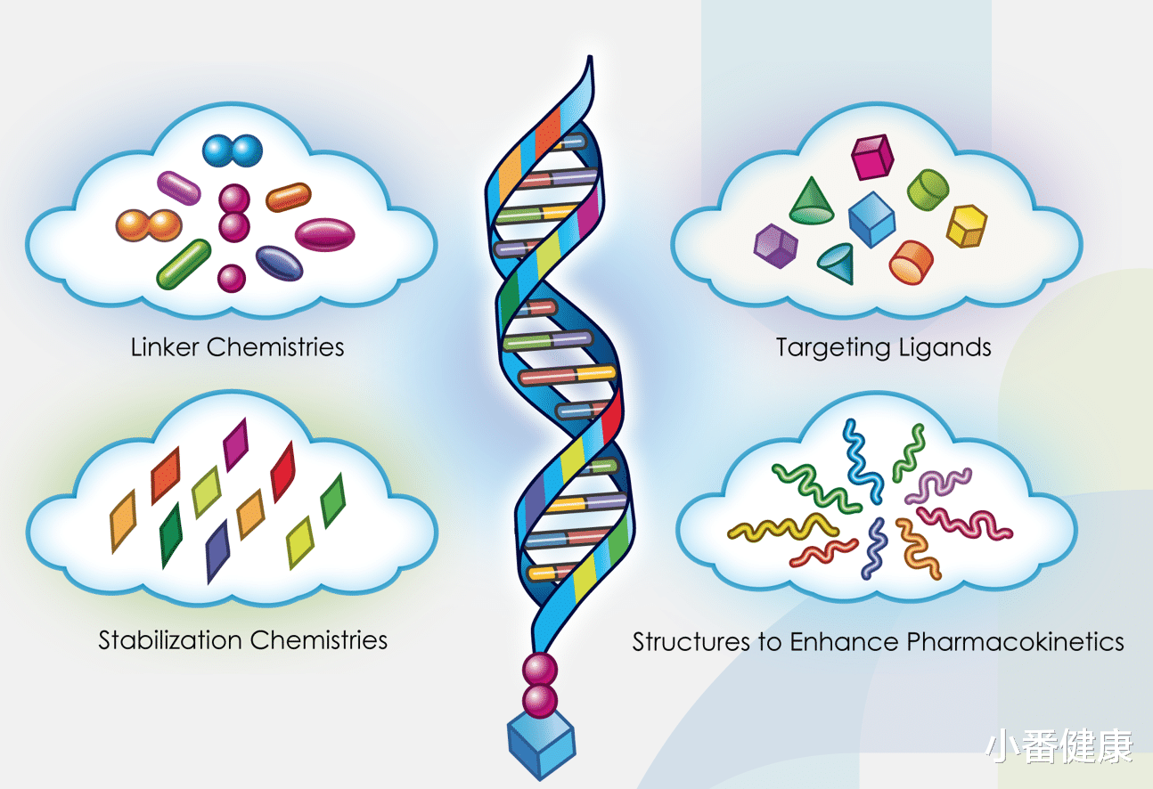 甲状腺结节|乙肝在研新药JNJ-3989，基于PK-PD模型，评价组合与HBsAg下降关系