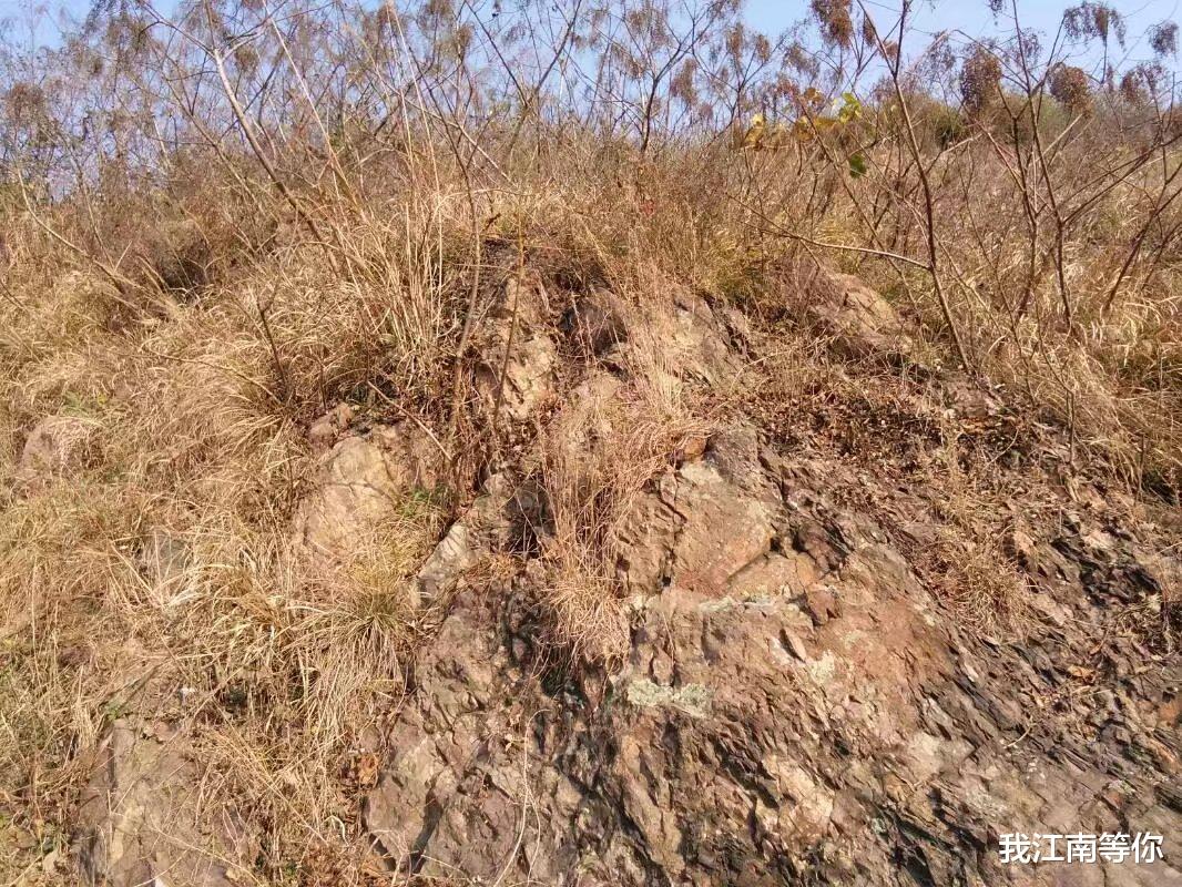 19岁男子遇到17岁女子,带着女子在大河边挖地洞,住在了地洞里