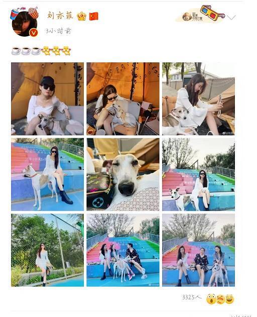 刘亦菲|刘亦菲晒国庆出游照,白裙黑靴造型养眼,肤白貌美颜值在线