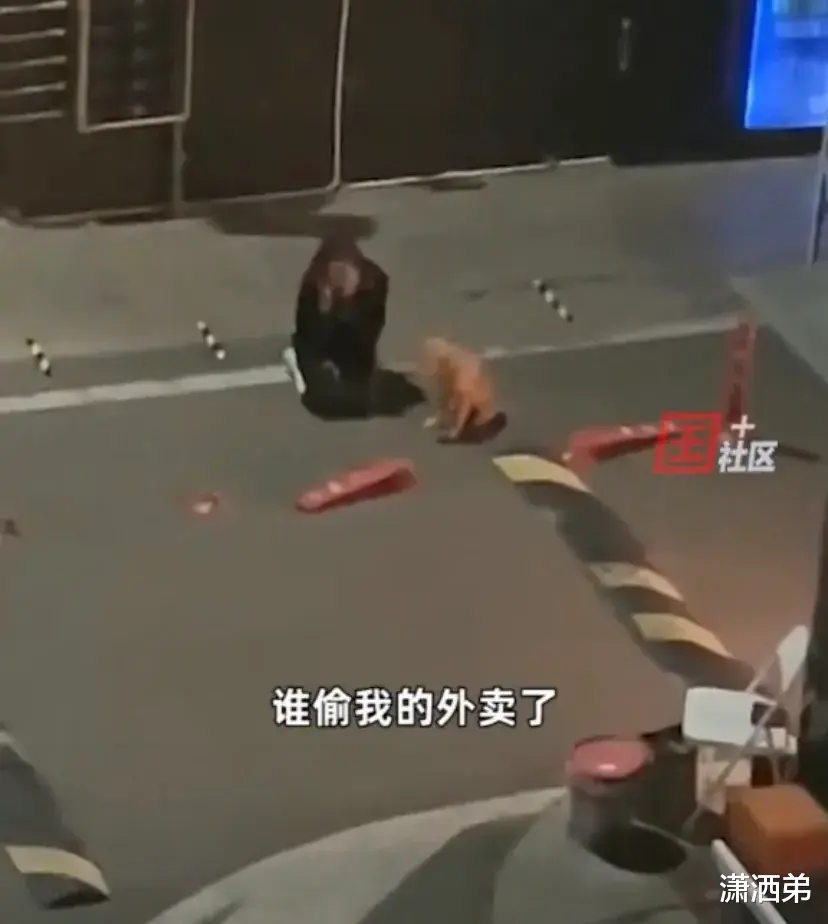 女子外卖深夜被偷后崩溃跪地大哭,狗子在一旁不知所措