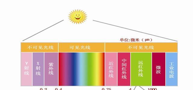 明明能看到,为什么却睁眼说“粉红色”根本不存在?