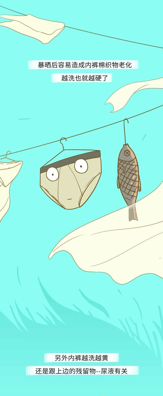 漫畫|男人的內褲，到底有多“臟”？一組漫畫「揭秘」，網友：別戳穿我