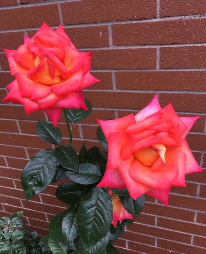 晒晒我家4层小别墅,占地面积600平,光装修花了200多万!