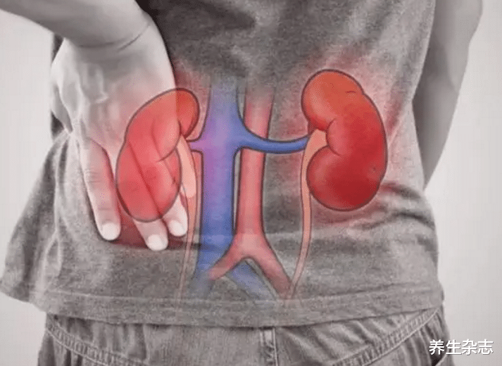 尿酸|“早餐变毒餐”！多名院士联合发声：1早餐或在“掏空”你的肾脏，趁早忌口