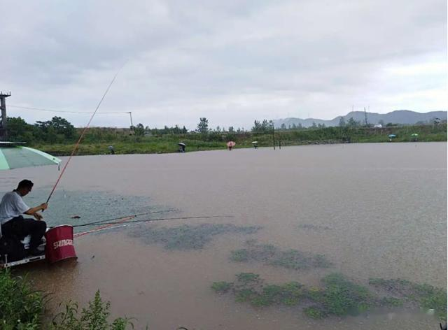 |伏天野钓，别到水边就急下竿！莫忽视“4定律”，轻松连杆上大鱼