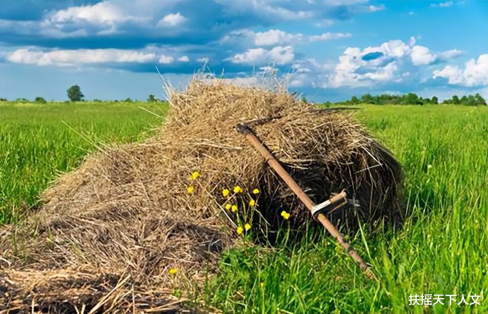 丽江|田园牧歌的生活,50张风景照片带你一起走进俄罗斯村庄的夏天