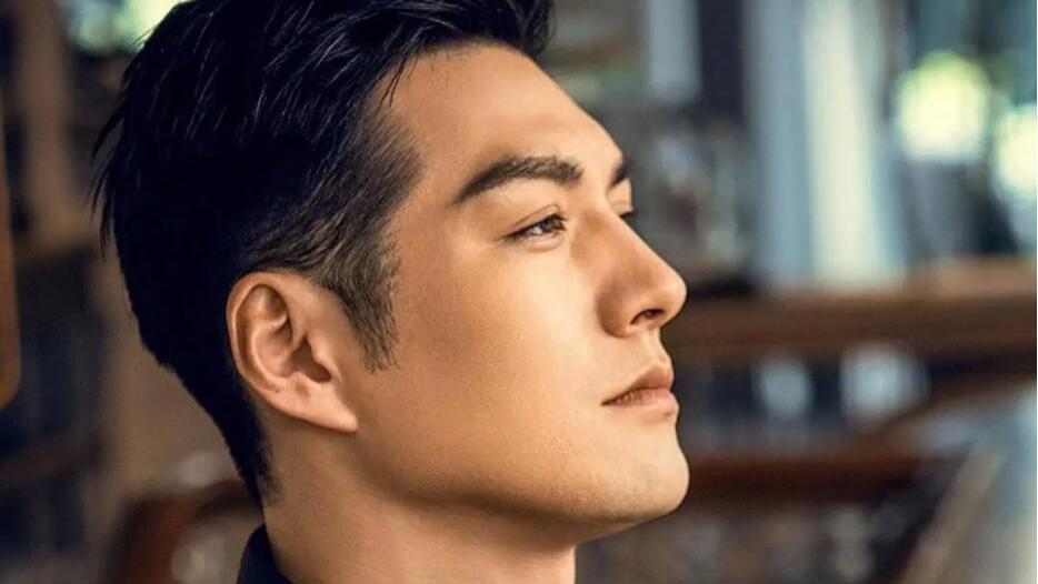 明星|男明星里鼻子比较挺的有哪些