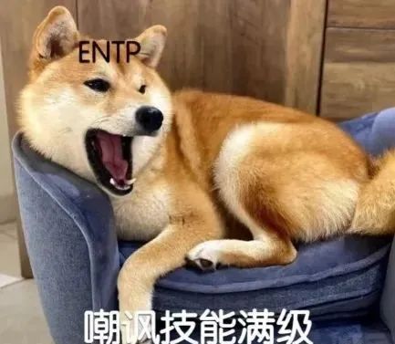 经典|当互联网大厂遇上了MBTI