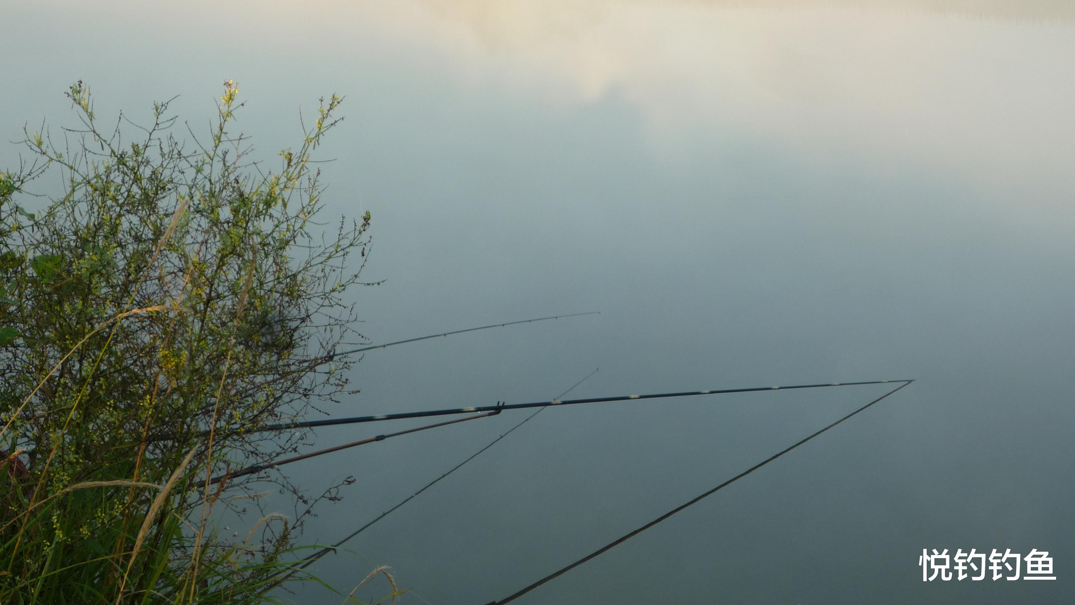 |钓鱼人说的“灵”到底是啥意思?中鱼率高就代表钓组足够灵吗?